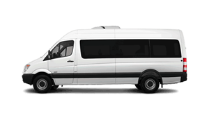 Los Cabos Group Transportation